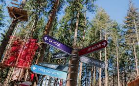 Zip World Fforest