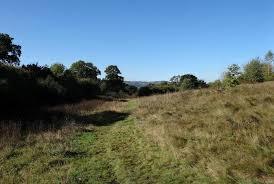 Ifton Meadows