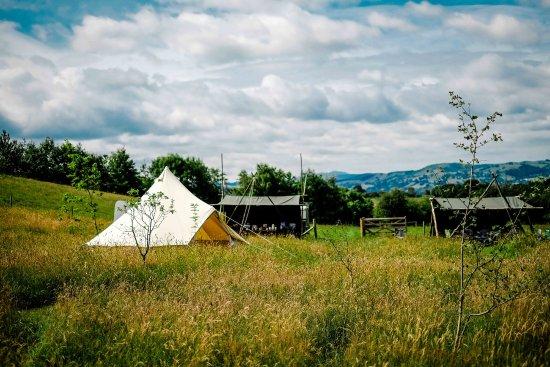 Wild Bushcraft Company