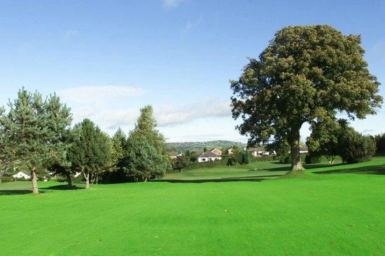 Mold Golf Club