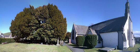 Llangernyw Yew