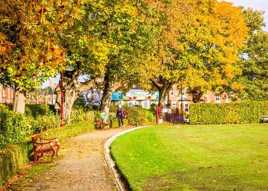 Bellevue Park