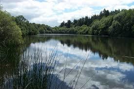 Llyn Syberi